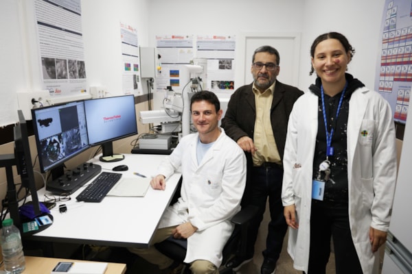 Personal de Difracción de rayos  x y microscopía electrónica de barrido